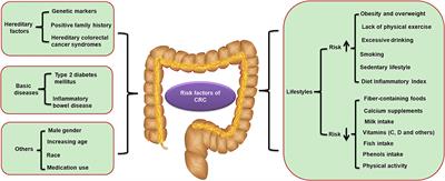 Berberine as a Potential Agent for the Treatment of Colorectal Cancer